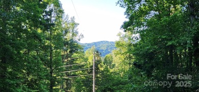 Welcome to this hidden gem in the Lake Lure, NC Mountains! Lot on Rumbling Bald Resort on Lake Lure in North Carolina - for sale on GolfHomes.com, golf home, golf lot