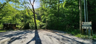 Welcome to this hidden gem in the Lake Lure, NC Mountains! Lot on Rumbling Bald Resort on Lake Lure in North Carolina - for sale on GolfHomes.com, golf home, golf lot