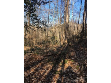 Welcome to this hidden gem in the Lake Lure, NC Mountains! Lot on Rumbling Bald Resort on Lake Lure in North Carolina - for sale on GolfHomes.com, golf home, golf lot