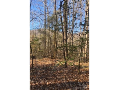 Welcome to this hidden gem in the Lake Lure, NC Mountains! Lot on Rumbling Bald Resort on Lake Lure in North Carolina - for sale on GolfHomes.com, golf home, golf lot