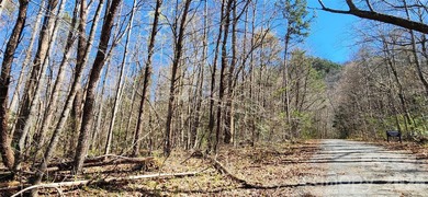 Welcome to this hidden gem in the Lake Lure, NC Mountains! Lot on Rumbling Bald Resort on Lake Lure in North Carolina - for sale on GolfHomes.com, golf home, golf lot