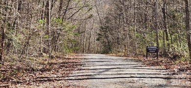 Welcome to this hidden gem in the Lake Lure, NC Mountains! Lot on Rumbling Bald Resort on Lake Lure in North Carolina - for sale on GolfHomes.com, golf home, golf lot