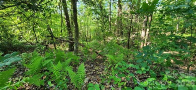 Welcome to this hidden gem in the Lake Lure, NC Mountains! Lot on Rumbling Bald Resort on Lake Lure in North Carolina - for sale on GolfHomes.com, golf home, golf lot