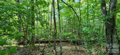 Welcome to this hidden gem in the Lake Lure, NC Mountains! Lot on Rumbling Bald Resort on Lake Lure in North Carolina - for sale on GolfHomes.com, golf home, golf lot