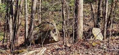 Welcome to this hidden gem in the Lake Lure, NC Mountains! Lot on Rumbling Bald Resort on Lake Lure in North Carolina - for sale on GolfHomes.com, golf home, golf lot