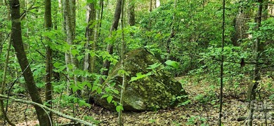 Welcome to this hidden gem in the Lake Lure, NC Mountains! Lot on Rumbling Bald Resort on Lake Lure in North Carolina - for sale on GolfHomes.com, golf home, golf lot