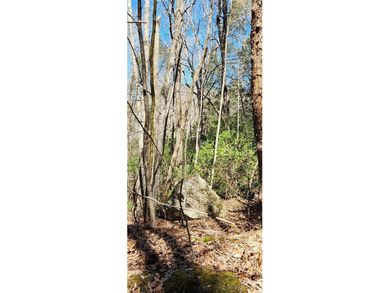 Welcome to this hidden gem in the Lake Lure, NC Mountains! Lot on Rumbling Bald Resort on Lake Lure in North Carolina - for sale on GolfHomes.com, golf home, golf lot