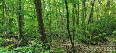 Welcome to this hidden gem in the Lake Lure, NC Mountains! Lot on Rumbling Bald Resort on Lake Lure in North Carolina - for sale on GolfHomes.com, golf home, golf lot