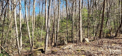 Welcome to this hidden gem in the Lake Lure, NC Mountains! Lot on Rumbling Bald Resort on Lake Lure in North Carolina - for sale on GolfHomes.com, golf home, golf lot