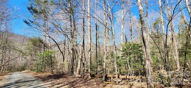 Welcome to this hidden gem in the Lake Lure, NC Mountains! Lot on Rumbling Bald Resort on Lake Lure in North Carolina - for sale on GolfHomes.com, golf home, golf lot