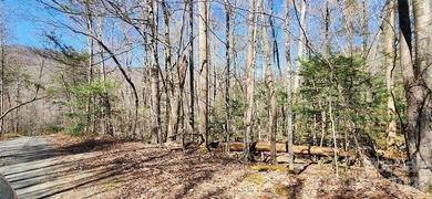 Welcome to this hidden gem in the Lake Lure, NC Mountains! Lot on Rumbling Bald Resort on Lake Lure in North Carolina - for sale on GolfHomes.com, golf home, golf lot