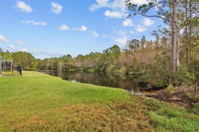 SOLID AS A ROCK with $300k in mechanical upgrades since on Westchase Golf Club in Florida - for sale on GolfHomes.com, golf home, golf lot