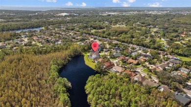 SOLID AS A ROCK with $300k in mechanical upgrades since on Westchase Golf Club in Florida - for sale on GolfHomes.com, golf home, golf lot