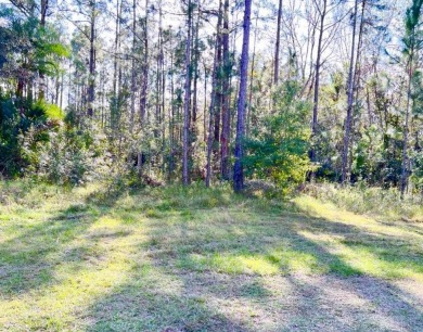 Half-Acre Lot in Indian Lake Estates - A Golfer's  Fisherman's on Indian Lake Estates Golf and Country Club in Florida - for sale on GolfHomes.com, golf home, golf lot