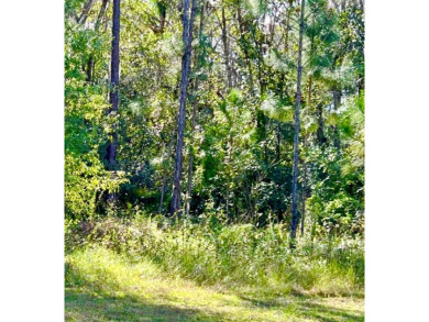 Half-Acre Lot in Indian Lake Estates - A Golfer's  Fisherman's on Indian Lake Estates Golf and Country Club in Florida - for sale on GolfHomes.com, golf home, golf lot