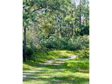 Half-Acre Lot in Indian Lake Estates - A Golfer's  Fisherman's on Indian Lake Estates Golf and Country Club in Florida - for sale on GolfHomes.com, golf home, golf lot