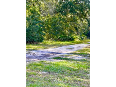 Half-Acre Lot in Indian Lake Estates - A Golfer's  Fisherman's on Indian Lake Estates Golf and Country Club in Florida - for sale on GolfHomes.com, golf home, golf lot