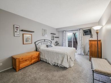 Welcome to this beautifully updated 1-bedroom, 1-bath condo that on Twin Lakes Golf Course in Illinois - for sale on GolfHomes.com, golf home, golf lot