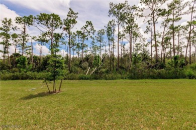 Introducing the Shelby model in Magnolia Landing: a newly built on Herons Glen Golf and Country Club in Florida - for sale on GolfHomes.com, golf home, golf lot