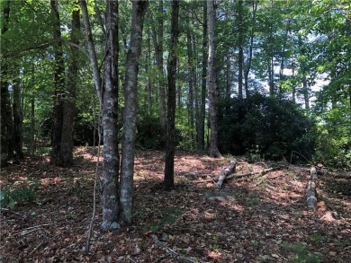 This homesite is located in the coveted Cliffs at Keowee on The Cliffs At Keowee Vineyards Golf Club in South Carolina - for sale on GolfHomes.com, golf home, golf lot
