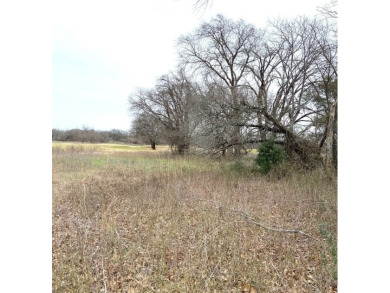 Build your new home on over a quarter acre flat lot.  Enjoy the on White Bluff Resort - New Course in Texas - for sale on GolfHomes.com, golf home, golf lot