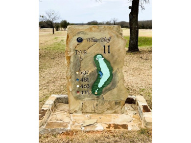 Build your new home on over a quarter acre flat lot.  Enjoy the on White Bluff Resort - New Course in Texas - for sale on GolfHomes.com, golf home, golf lot