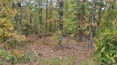 Nice building lot near Lake Loch Lomond. Enjoy all the nearby on Bella Vista Country Club - Scottsdale in Arkansas - for sale on GolfHomes.com, golf home, golf lot