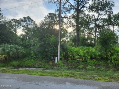 This half-acre lot sits in a quiet, fast-growing area of Lehigh on Lehigh Resort Club in Florida - for sale on GolfHomes.com, golf home, golf lot