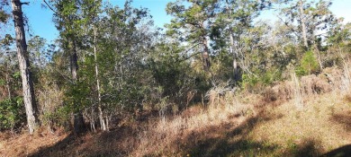 Come build your forever home on this one-half acre corner lot on Indian Lake Estates Golf and Country Club in Florida - for sale on GolfHomes.com, golf home, golf lot