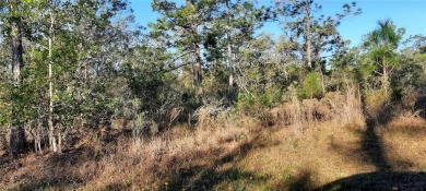 Come build your forever home on this one-half acre corner lot on Indian Lake Estates Golf and Country Club in Florida - for sale on GolfHomes.com, golf home, golf lot