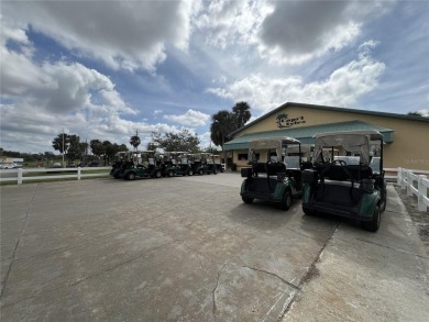 Beautiful 2bd/2bath villa on the first floor.  Private and quiet on Capri Isle Golf Club in Florida - for sale on GolfHomes.com, golf home, golf lot