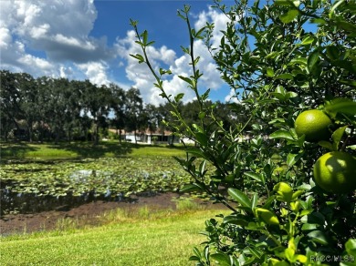 Florida Living at Its Finest!  This waterfront listing could be on Point O Woods Golf Club in Florida - for sale on GolfHomes.com, golf home, golf lot