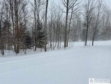 Located at the highly sought-after Peak 'n Peak Resort, this on Peek n Peak Golf Course - Upper  in New York - for sale on GolfHomes.com, golf home, golf lot