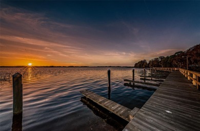 Sunset of Lansbrook is one of the most sought after on Lansbrook Golf Club in Florida - for sale on GolfHomes.com, golf home, golf lot