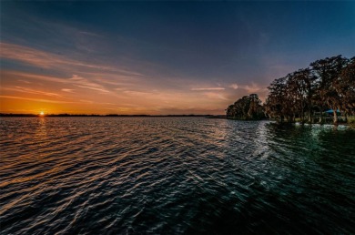 Sunset of Lansbrook is one of the most sought after on Lansbrook Golf Club in Florida - for sale on GolfHomes.com, golf home, golf lot