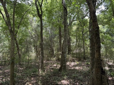 Located just 18 minutes from the heart of New Orleans and only 0 on English Turn Golf and Country Club in Louisiana - for sale on GolfHomes.com, golf home, golf lot