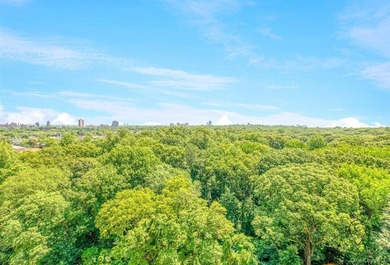 It's all about the views at The Forest View Crescent. This is on Forest Park Golf Course in New York - for sale on GolfHomes.com, golf home, golf lot