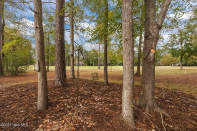 Welcome to this beautiful home located on the #17 fairway of on Cypress Landing Golf Club in North Carolina - for sale on GolfHomes.com, golf home, golf lot