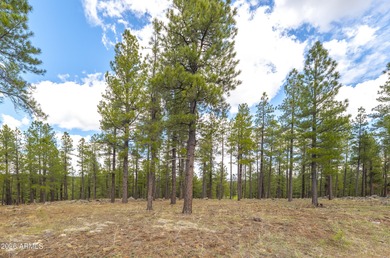 Lot 802 - Craft your custom mountain estate within the on Forest Highlands Golf Club - The Canyon in Arizona - for sale on GolfHomes.com, golf home, golf lot