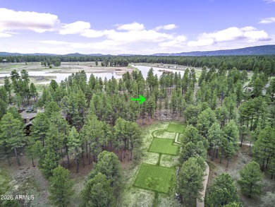 Lot 802 - Craft your custom mountain estate within the on Forest Highlands Golf Club - The Canyon in Arizona - for sale on GolfHomes.com, golf home, golf lot