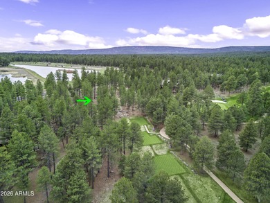 Lot 802 - Craft your custom mountain estate within the on Forest Highlands Golf Club - The Canyon in Arizona - for sale on GolfHomes.com, golf home, golf lot