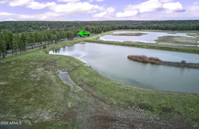 Lot 802 - Craft your custom mountain estate within the on Forest Highlands Golf Club - The Canyon in Arizona - for sale on GolfHomes.com, golf home, golf lot