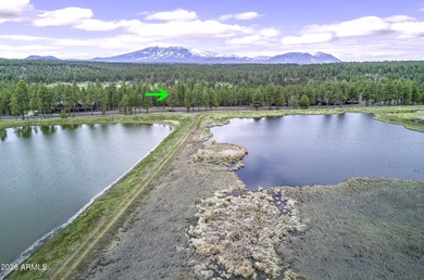 Lot 802 - Craft your custom mountain estate within the on Forest Highlands Golf Club - The Canyon in Arizona - for sale on GolfHomes.com, golf home, golf lot