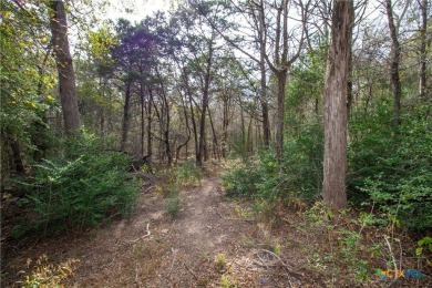 Tahitian Village, located in Bastrop, TX, is a peaceful on Pine Forest Golf Club in Texas - for sale on GolfHomes.com, golf home, golf lot