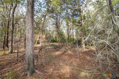 Tahitian Village, located in Bastrop, TX, is a peaceful on Pine Forest Golf Club in Texas - for sale on GolfHomes.com, golf home, golf lot