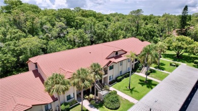 Price reduction !!! Brand new AC with 10 yr warranty and a new on Tarpon Woods Golf Club in Florida - for sale on GolfHomes.com, golf home, golf lot