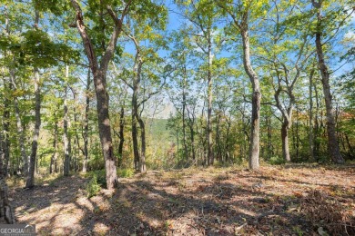 Discovering the Dream: Estate-Sized Lot in Habersham County on The Orchard Golf and Country Club in Georgia - for sale on GolfHomes.com, golf home, golf lot