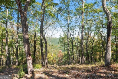 Discovering the Dream: Estate-Sized Lot in Habersham County on The Orchard Golf and Country Club in Georgia - for sale on GolfHomes.com, golf home, golf lot