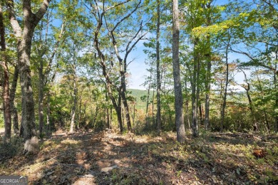 Discovering the Dream: Estate-Sized Lot in Habersham County on The Orchard Golf and Country Club in Georgia - for sale on GolfHomes.com, golf home, golf lot