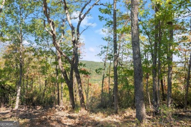 Discovering the Dream: Estate-Sized Lot in Habersham County on The Orchard Golf and Country Club in Georgia - for sale on GolfHomes.com, golf home, golf lot